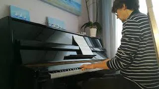 Miniature : Yann Tiersen - Porz Goret