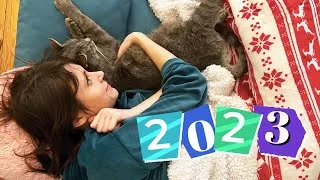 Miniature : 2023 en 365 secondes