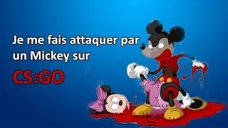 Miniature : JE ME FAIS ATTAQUER PAR UN MICKEY SUR CS:GO