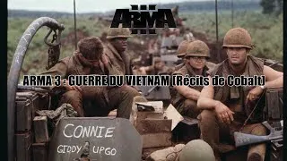 Miniature : GUERRE DU VIETNAM (Arma 3 Milsim COBALT HS)