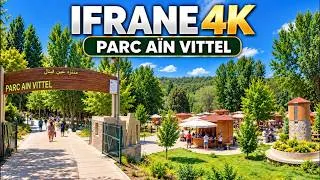 Miniature : Source Vittel à Ifrane 🇲🇦 | Une balade au cœur de la nature