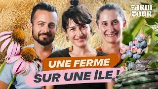 Miniature : Tout quitter pour créer une ferme sur une île… sans filet