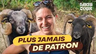 Miniature : Elle élève des moutons miniatures… et ne veut plus jamais de patron