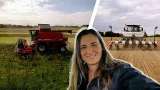 Miniature : MOISSON des TOURNESOLS et autres travaux à la FERME 🌻