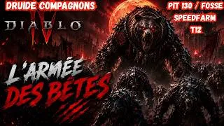 Miniature : DIABLO 4 SAISON 13 BUILD DRUIDE COMPAGNONS PUSH 130+ LES TRILLIONS GRACE A CHANT DE LA MONTAGNE