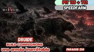 Miniature : DIABLO 4 SAISON 13 BUILD DRUIDE COMPAGNON  LA MÉTA DES COMPAGNONS EST INARRÊTABLE PIT 115