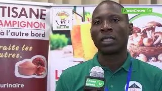 Miniature : Production et transformation de champignons : Des myciculteurs de Côte d'Ivoire s’illustrent