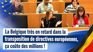 Miniature : Belgique et directives européennes : qui paie les retards ?
