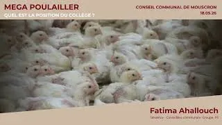 Miniature : Dottignie : 37 800 poulets à la rue de Ronceval ? Les citoyens s'opposent