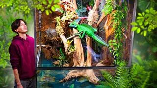 Miniature : J'ai créé un ÉCOSYSTÈME pour mon LÉZARD et mes POISSONS dans 1m² !