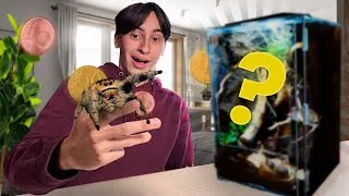 Miniature : Un MINI PRÉDATEUR dans un MINI TERRA?! TUTO Phidippus regius