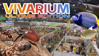Miniature : VIVARIUM 2025 "One Last Time" : Adieu au plus gros salon aquariophile d'Europe...