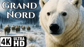 Miniature : Les Animaux Sauvages Du GRAND NORD | Documentaire Animalier
