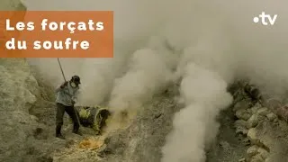 Miniature : Indonésie : les forçats du soufre