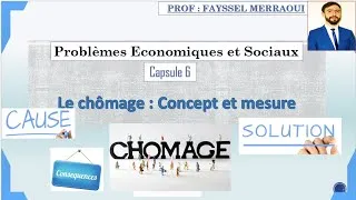 Miniature : Vidéo 6 | Série - PES (Chômage : Concept, Mesure, Causes, conséquences et politiques)
