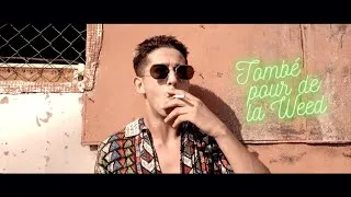 Miniature : Hérault Shima x Sav-r - Tombé pour de la Weed (Dj Sayze & Djesba)