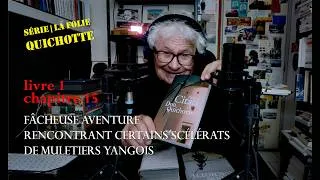 Miniature : la folie Quichotte | 1.15, fâcheuse aventure rencontrant certains scélérats de muletiers yangois