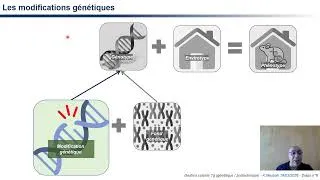 Miniature : 3R et gestion raisonnée des élevages murins expérimentaux