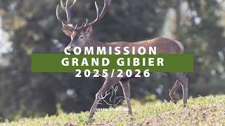 Miniature : Bilan de la Commission Grand Gibier 2025/2026