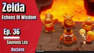 Miniature : Ep. 36 - Sauvons Les Anciens - Echoes Of Wisdom