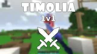 Miniature : Timolia 1v1 : À la recherche de mon niveau