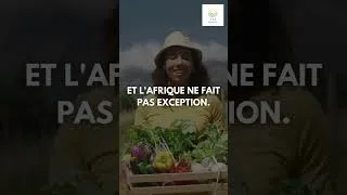 Miniature : B.O.P.A NEWS Sur le terrain avec un entrepreneur agricole au Togo | AOET - AFA