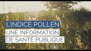 Miniature : L'indice pollen, une information de santé publique