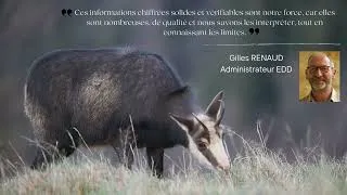 Miniature : Rapport d'Activité FDC25 2024/2025
