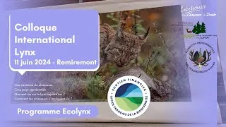 Miniature : 📢 Colloque international sur le lynx : les chasseurs au cœur du suivi des grands prédateurs 🐾