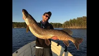Miniature : Je pêche DEUX GROS BROCHET de 112CM !!! [Suède Part 1]