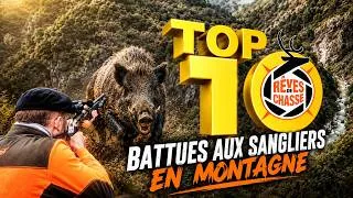 Miniature : Battues au sanglier en Montagne - Top 10 Rêves De Chasse n°44 - Juin 2026