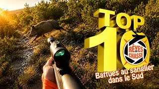 Miniature : Battues au sanglier dans le Sud - Top 10 Rêves De Chasse n°43 - Mai 2026