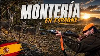 Miniature : Au cœur d'une belle Montería espagnole traditionnelle:  les cervidés au Rendez-Vous !