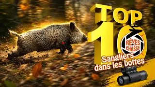 Miniature : Sangliers dans les bottes en battue à la ShotKam - Top 10 Rêves De Chasse n°42 - Avril 2026