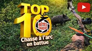 Miniature : Chasse à l'arc en battue - Top 10 Rêves De Chasse n°41 - Mars 2026