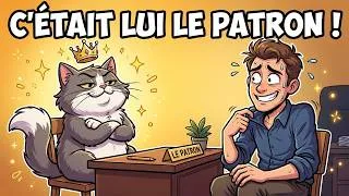 Miniature : La Science Prouve Que Les Chats Choisissent Leur Maître