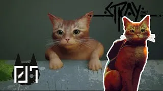 Miniature : Let’s Play Stray - Un chat loins des Siens ! #01