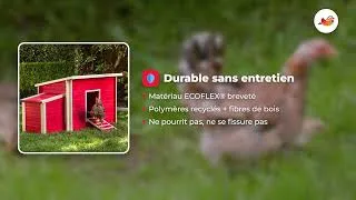 Miniature : Poulailler Dallas rouge - Poulailler en ECOFLEX avec parcours adapté - pour 4 à 6 poules