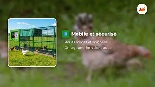 Miniature : Poulailler Egg Palace - Le poulailler mobile en plastique avec grande volière - 6 à 8 poules