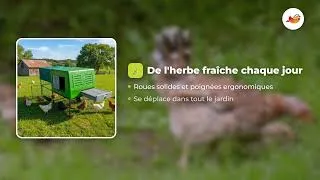 Miniature : Poulailler Egg Chalet - Le poulailler mobile en plastique avec petite volière - 4 à 6 poules