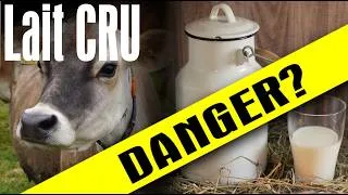 Miniature : Lait cru VS lait pasteurisé 🥛 La vérité qu’on nous cache! 🐄 #358