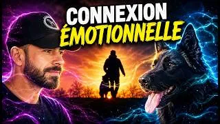 Miniature : Chien AGRESSIF : Ce que tout le monde oublie de faire pour le corriger