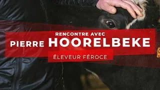 Miniature : [éleveur] "Il n'y a pas mieux en terme d'élévage"
