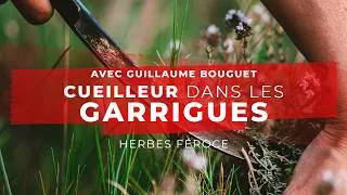 Miniature : [rencontre] "Je cueille ce que les plantes peuvent me donner" 🌱