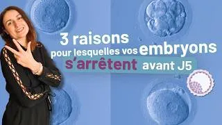 Miniature : Embryons arrêtés avant le stade blastocyste : les 3 causes les plus fréquentes