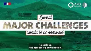 Miniature : FFEM In Focus supporting the agroecological transition in rural territories.