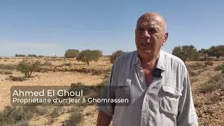 Miniature : Les jessour : enjeux et pratiques autour d'un système hydro-agricole ancestral en Tunisie