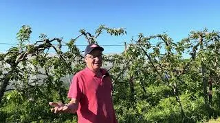 Miniature : Légumes Rossier, en recherche d'équilibre