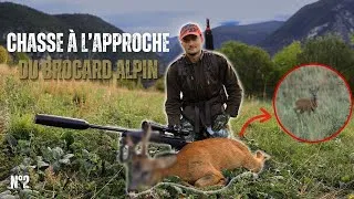 Miniature : CHASSER LE CHEVREUIL DES ALPES FRANÇAISES À L'APPROCHE - RECETTE DE BEEF JERKY & JAMBON SEC