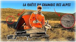 Miniature : CHASSE du CHAMOIS à l'APPROCHE en HAUTE MONTAGNE - SUITE [2]